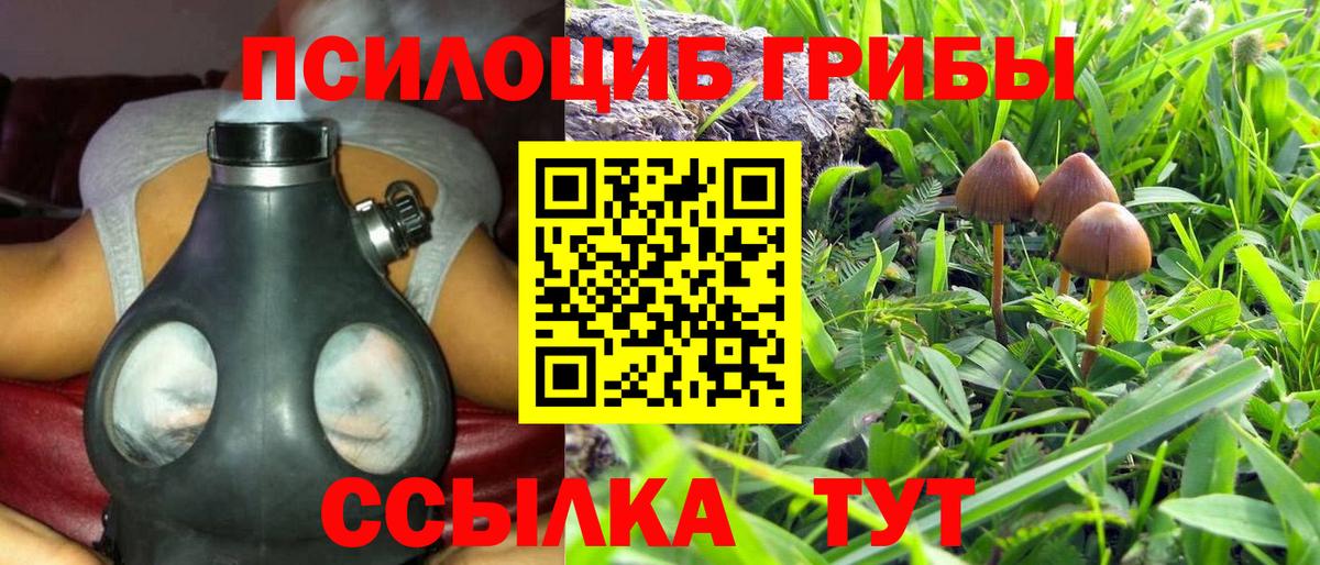 Галлюциногенные грибы мухоморы Канаш