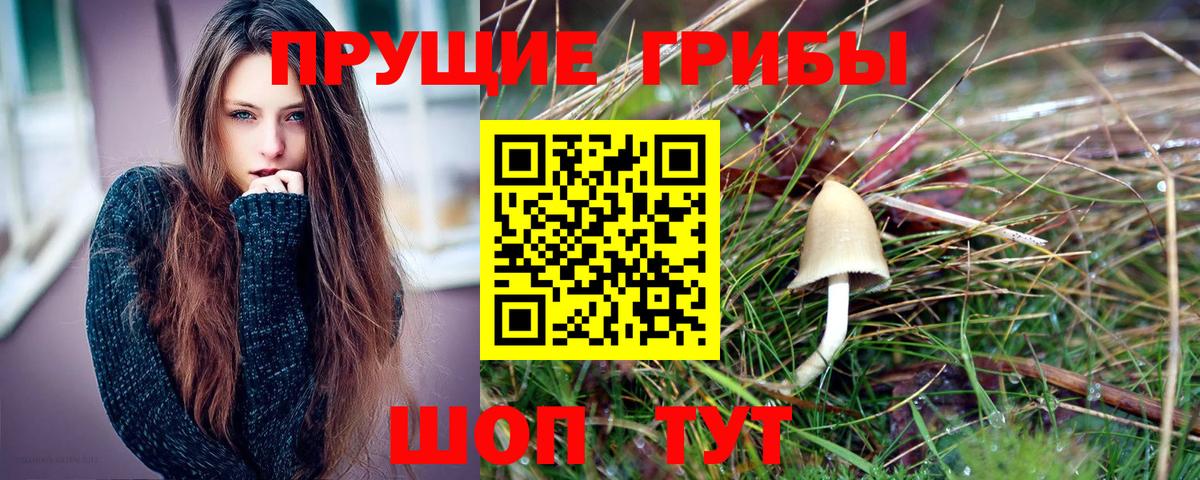 Псилоцибиновые грибы мухоморы  Вход с VPN  Канаш 
